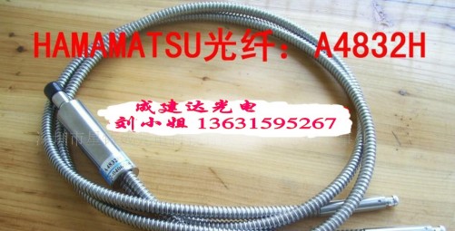 进口日本滨松2分支点光源光纤，A4832H石英光纤导管