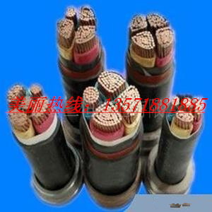 供应陕西西安YJV电力电缆/YJLV铝芯电力电缆/电力电缆产品大图13571881885