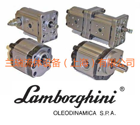 LAMBORGHINI齿轮泵