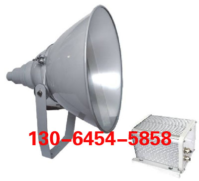 NFP450防震高亮度投光灯 抗震型