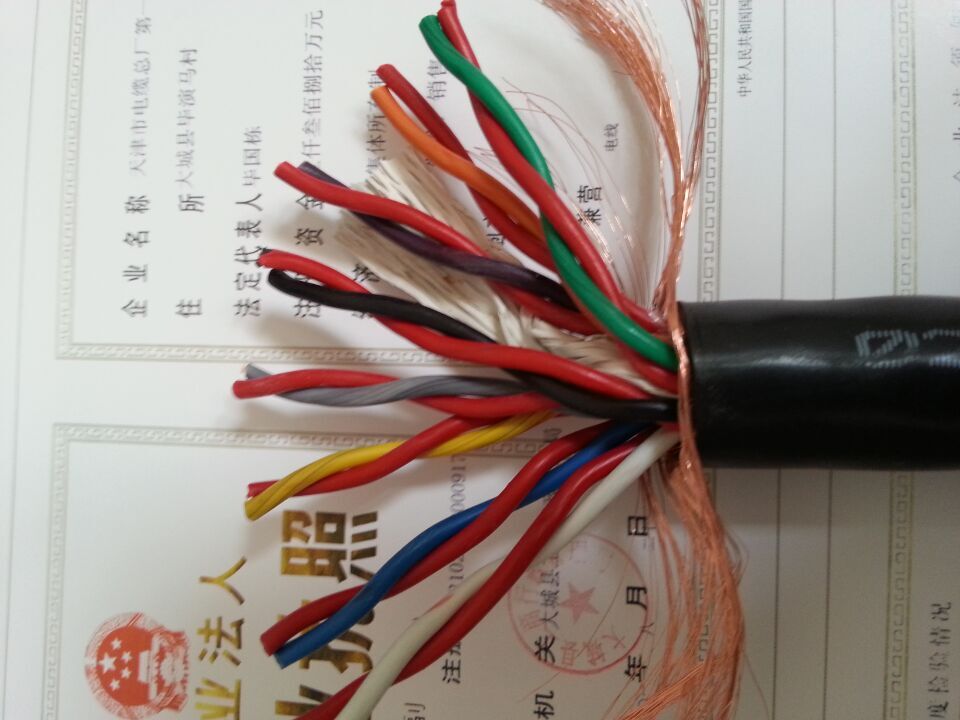 计算机电缆：DJYV（R）P2-22