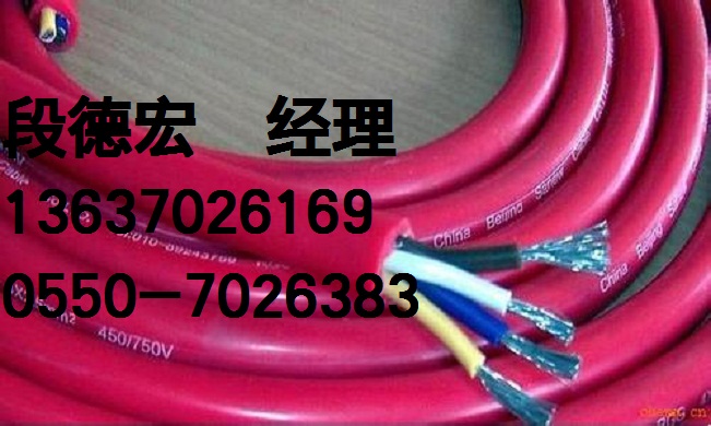 ZRB-DJF4PF46RP 1*2*1.0(必亮春辉牌)耐高温计算机电缆