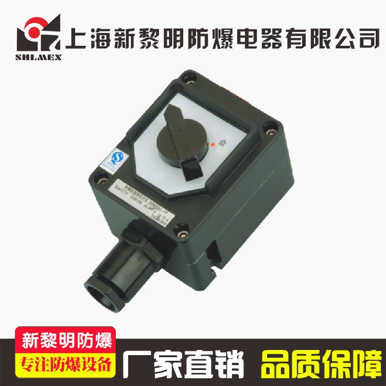 长沙ZXF8030-10A防爆灯照明单控开关盒