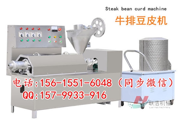 蛋白肉机器生产线/沧州自动豆丝机器视频