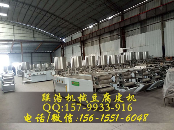 联浩干豆腐机生产视频/沧州全自动豆片机生产商