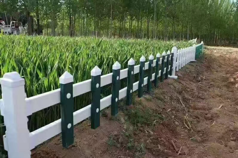 吉安市绿化带pvc塑钢隔离栏实体厂家
