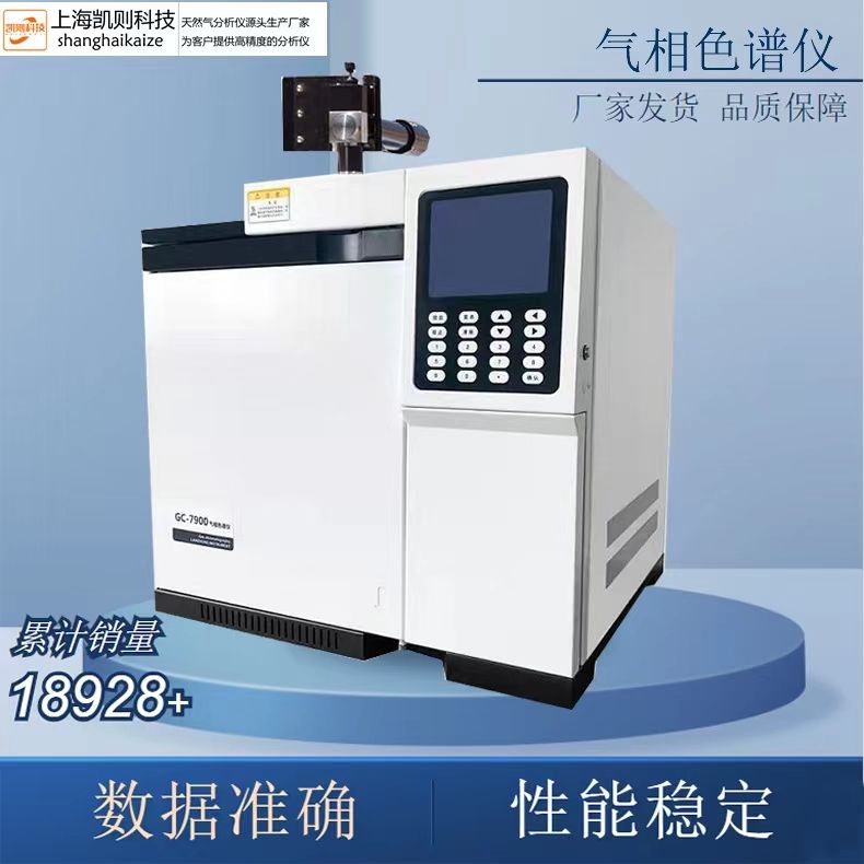 上海 凯则科技 气相色谱仪 硫化氢分析 硫类分析 煤气中硫含量分析仪 厂家直销