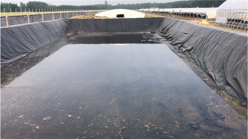 养猪场沉淀池加盖黑膜防渗漏施工厂家