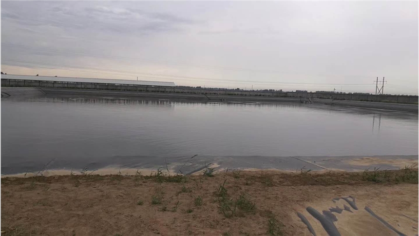 广西贵州养猪场蓄水池黑膜防漏不污染材料