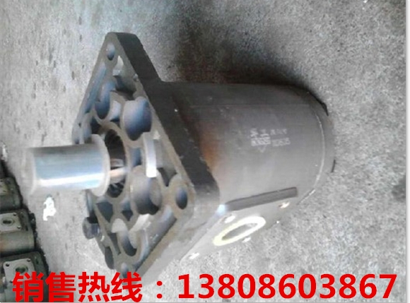 重庆河北国际转向器VT11025-1X/)